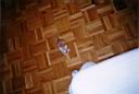 06 - Gato o raton.jpg